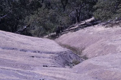 DSC_2240 (Large).JPG